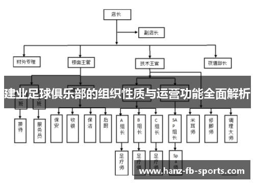 建业足球俱乐部的组织性质与运营功能全面解析