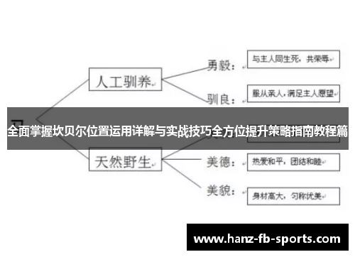 全面掌握坎贝尔位置运用详解与实战技巧全方位提升策略指南教程篇
